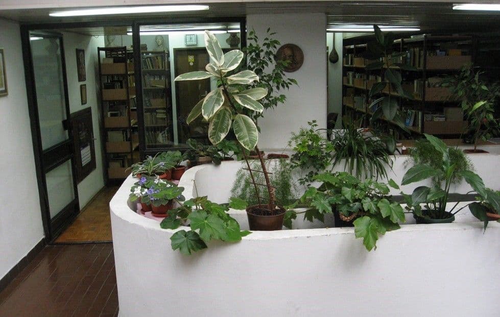 Школска библиотека 🌺