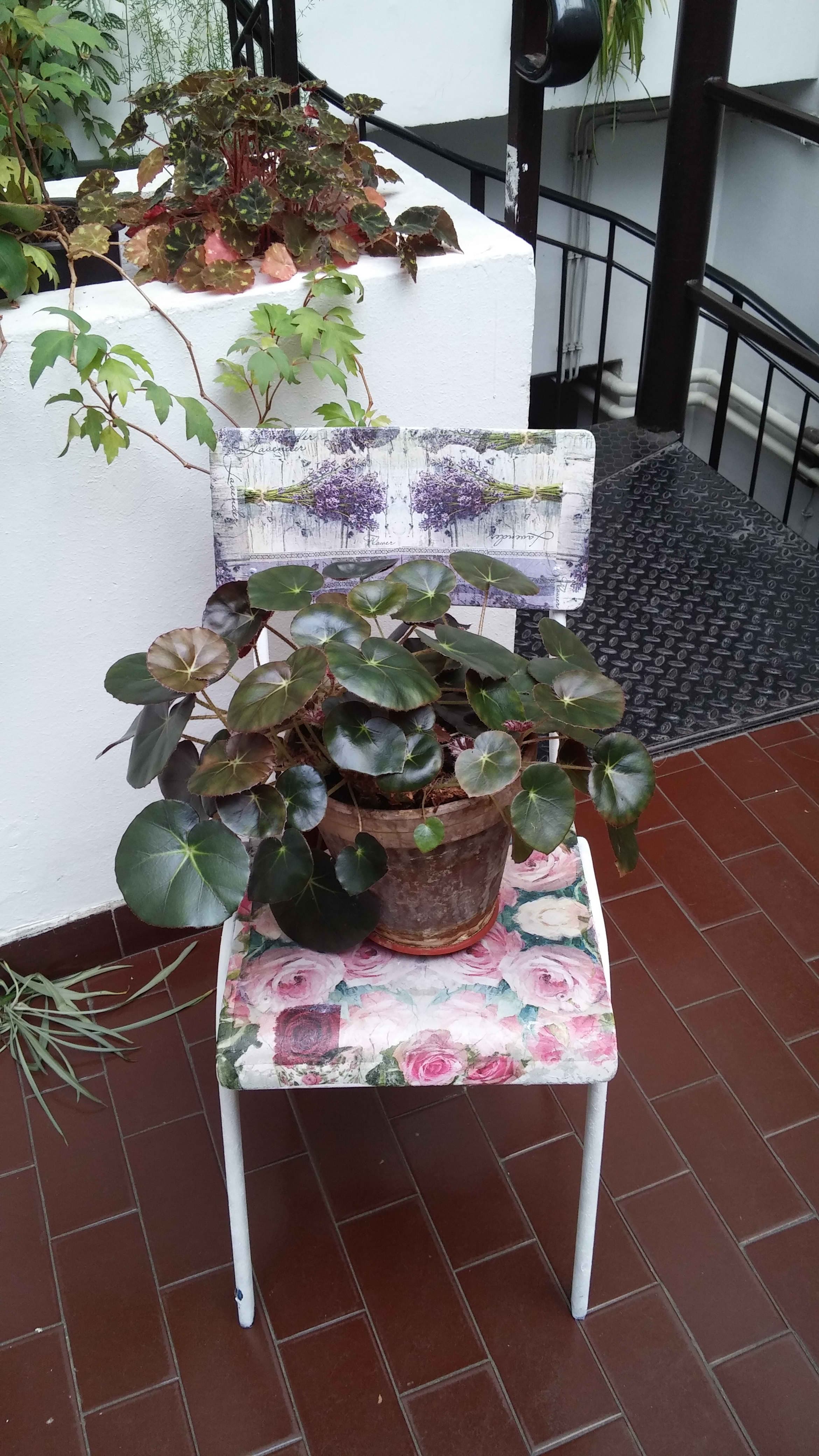 Школска библиотека 🌺