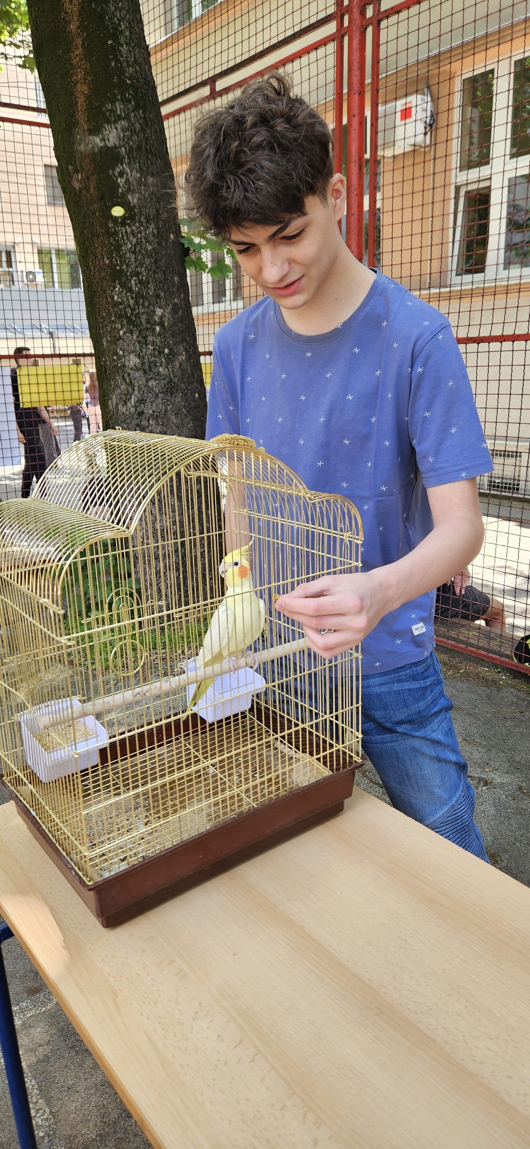 Дружење са љубимцима 11.5.  🐶🦜🐱🐹