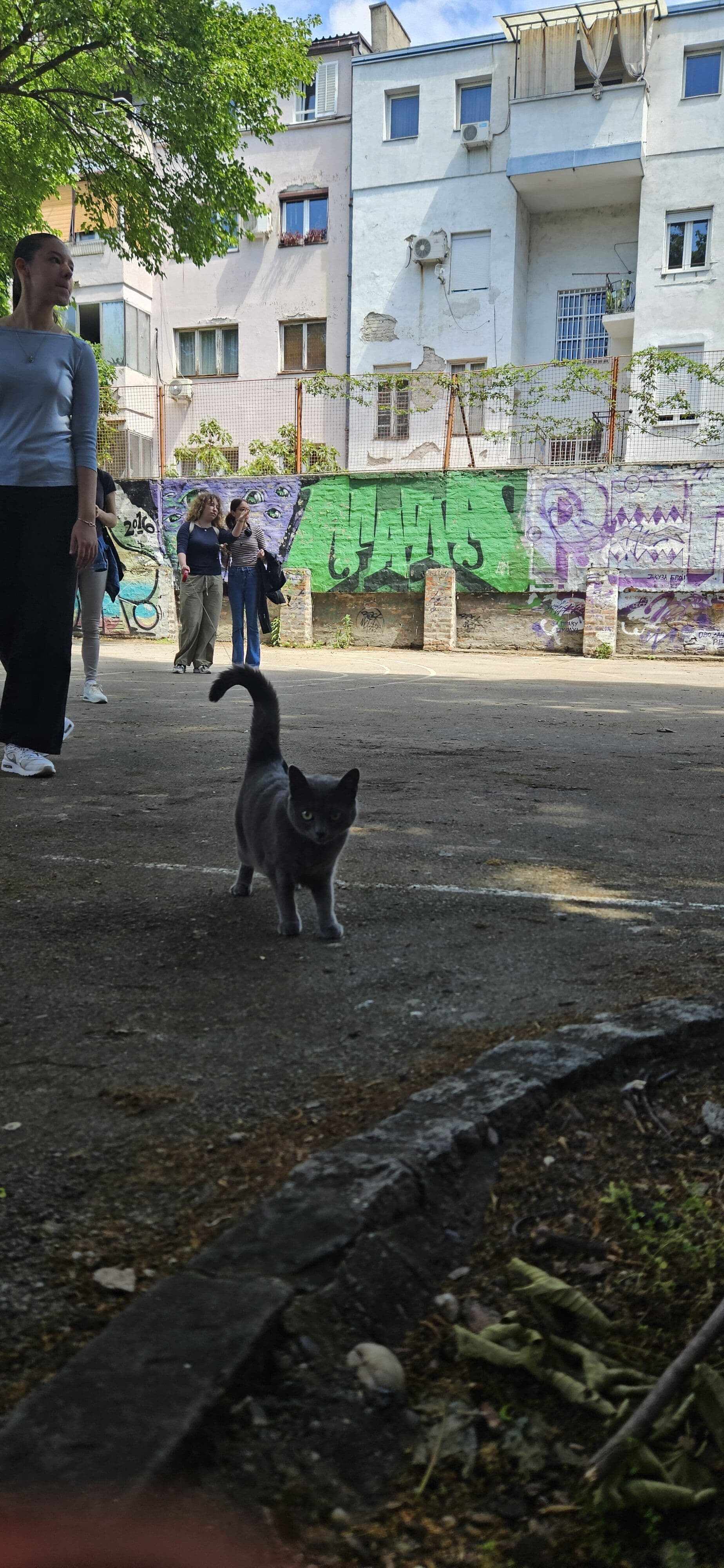 Дружење са љубимцима 11.5.  🐶🦜🐱🐹