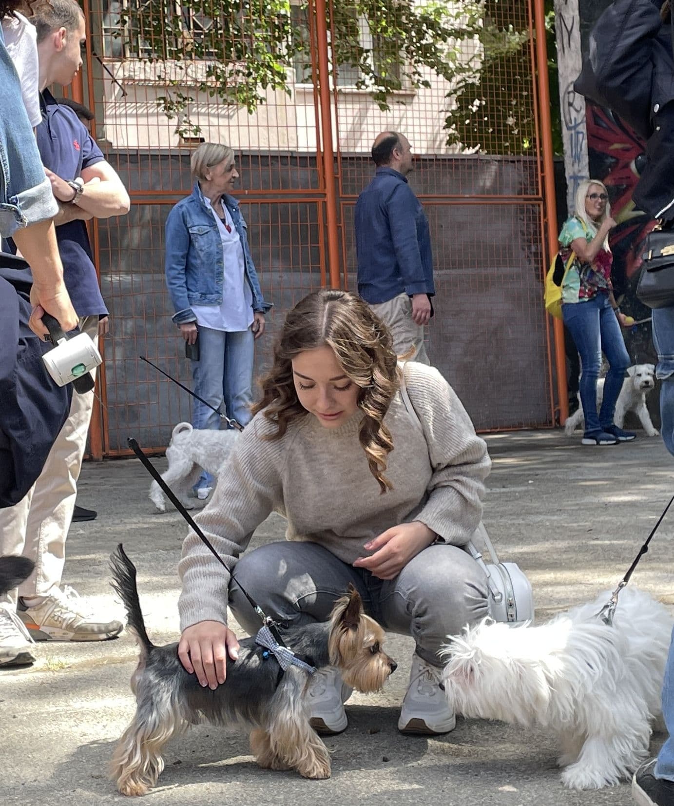 Дружење са љубимцима 11.5.  🐶🦜🐱🐹