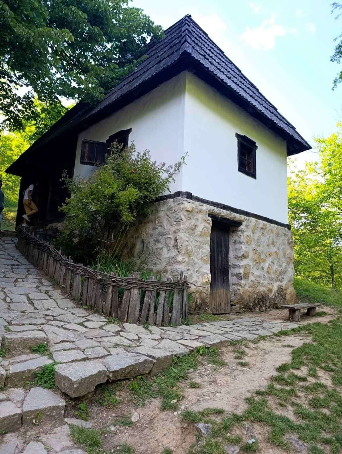 Слика 10