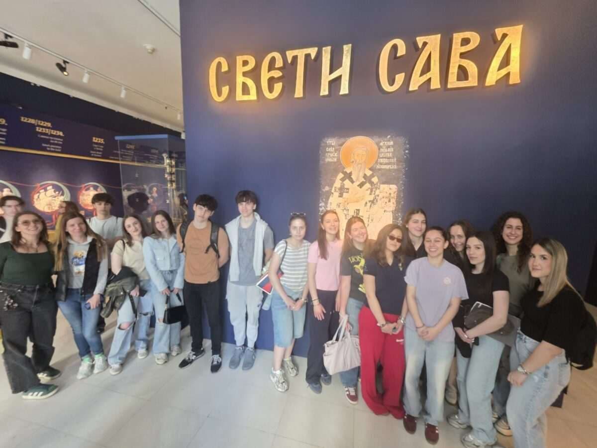 Слика 10