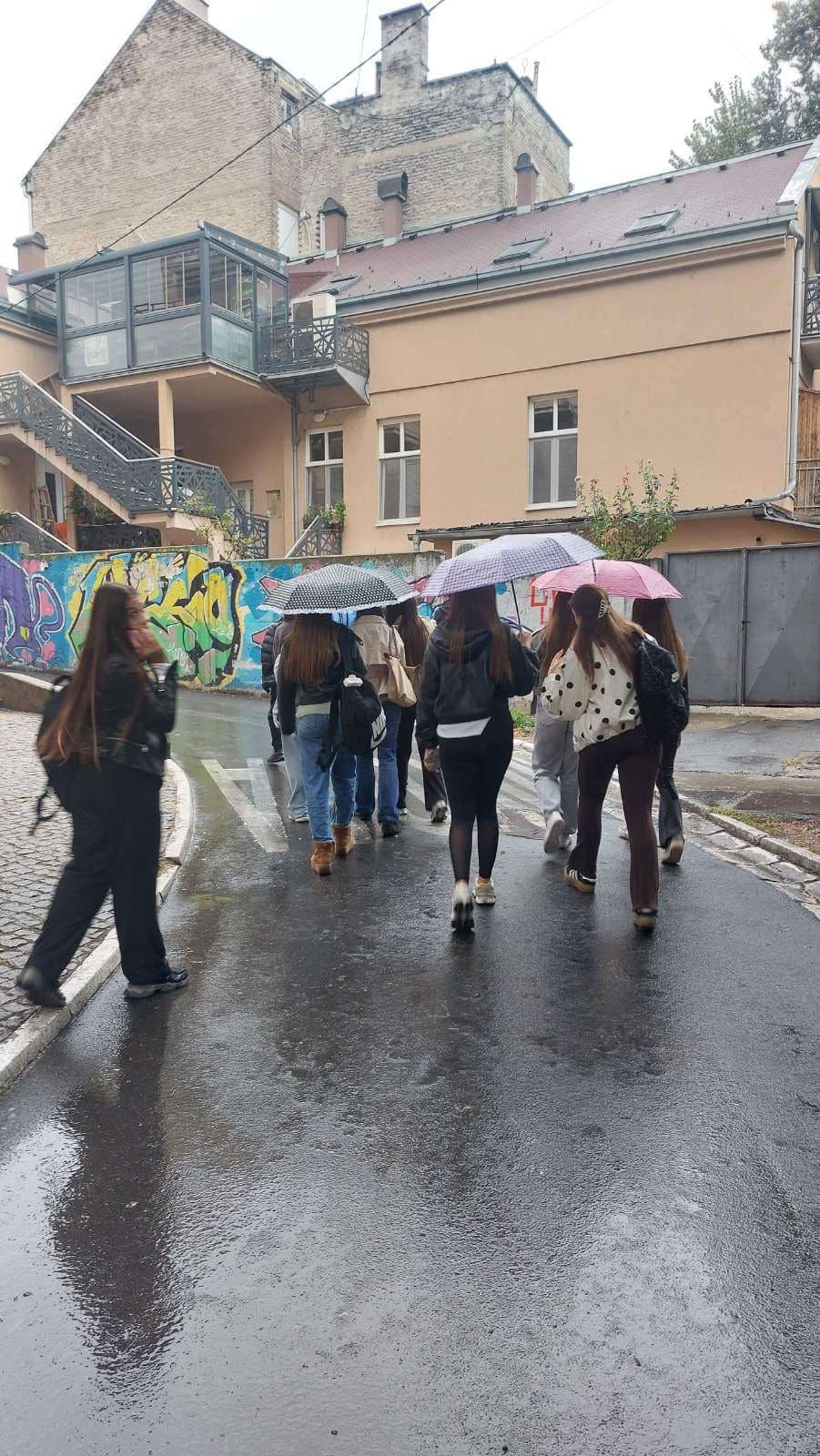 Слика 1